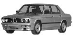 BMW E28 P111D Fault Code