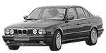 BMW E34 P111D Fault Code