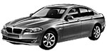 BMW F10 P111D Fault Code